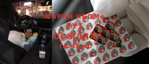 стаф Новодвинск