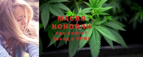 стаф Новодвинск