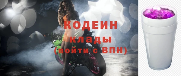 стаф Новодвинск