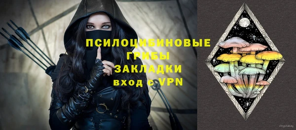 mdpv Новозыбков