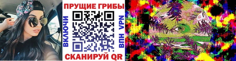 Псилоцибиновые грибы мицелий  Шарыпово 