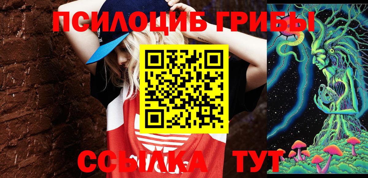 Псилоцибиновые грибы Psilocybe  Вход с VPN  Шарыпово 